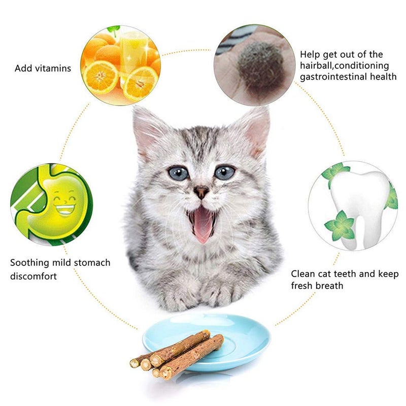 WoLover 20 PCS Cat Catnip Sticks Natural Matatabi Silvervine Sticks - Cleaning Teeth Molar Tools Kitten Chew Toy Natural Catnip Cats Toy - Image 2